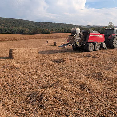 baling4