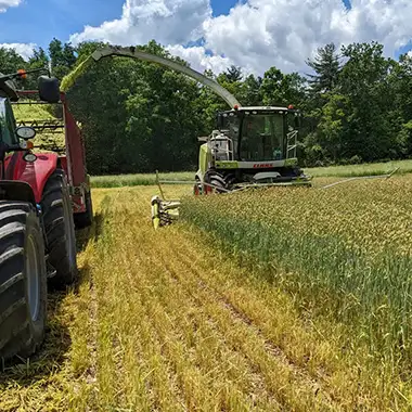 Claas combine harvesting with tractor and harvest wagon