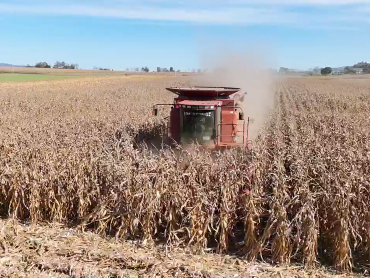 hauling video