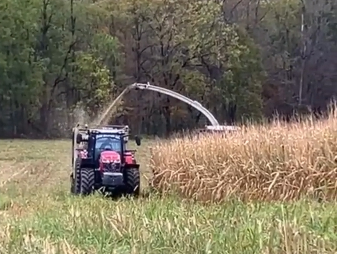 hauling video