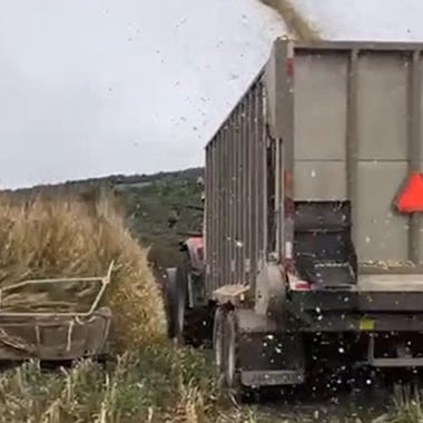 hauling6