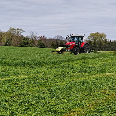 mowing1