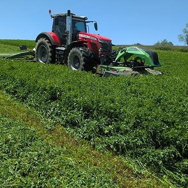 mowing2